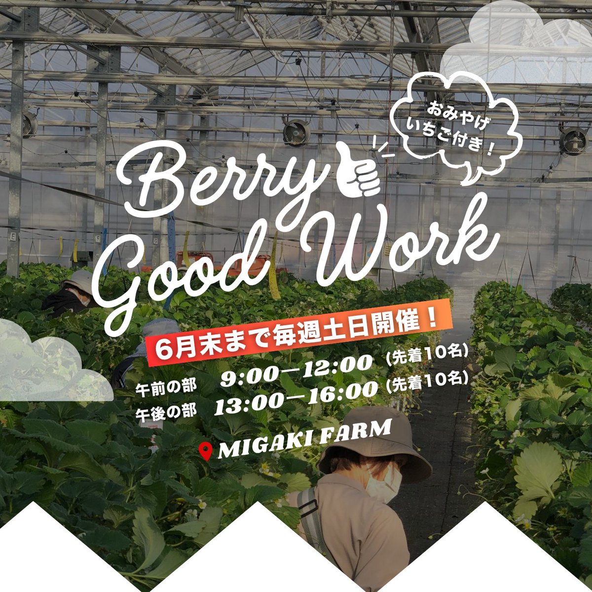 ミガキファーム🍓宮城いちご狩り・農園直営カフェ&ショップ tweet media