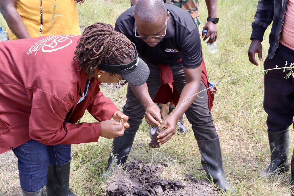 RBAKenya's tweet photo. Rooted in purpose, growing for the future 🌱

RBA joined partners in Kericho &amp; Bomet for a tree planting drive across Sorget, Malagat &amp; Chepalungu forests, planting 12,000+ trees.

Each seedling brings us closer to 1M trees by 2027. A greener future starts with steps made today. https://t.co/RfW5OnqXth