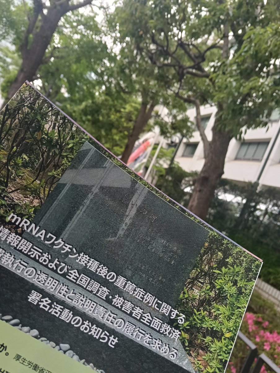 りえぽん tweet media