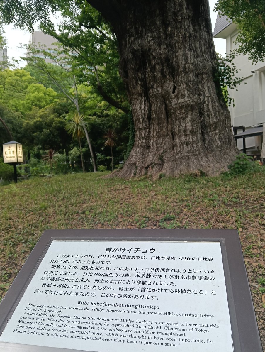 りえぽん tweet media