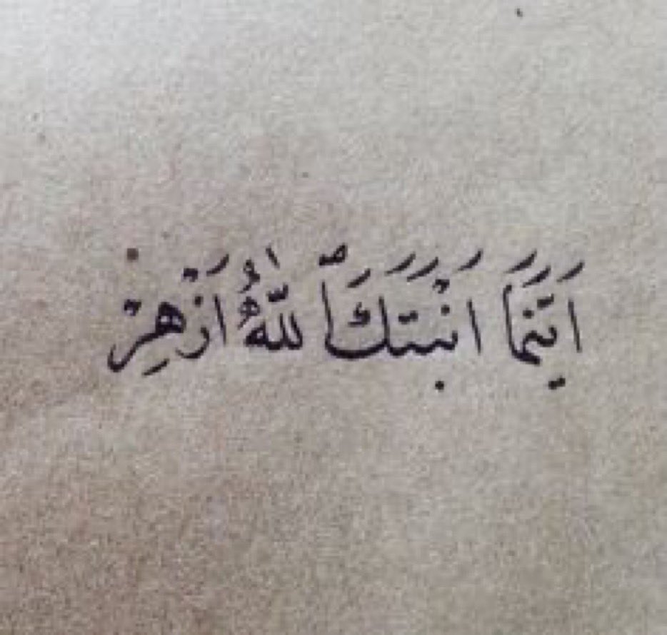 aisha_zayed's tweet photo. @AwadAldarmaki https://t.co/gHiw3qw1OL