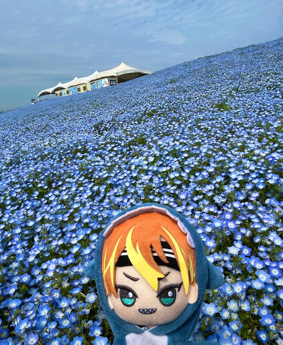 ゆん tweet media