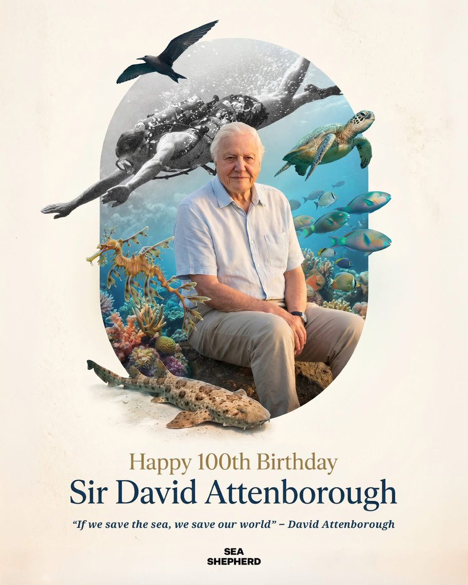 marieboadu's tweet photo. Some great news for the day….Sir David Attenborough celebrates his 100th birthday 🎂🎉🎉🤍🤍🤍. Happy birthday legend. #centenarian #davidattenborough #natureinspired #natureconnection #MayBornsRock ❤️❤️❤️

Photo Credit Sea Shepherd Australia https://t.co/XqgoG5nVjk