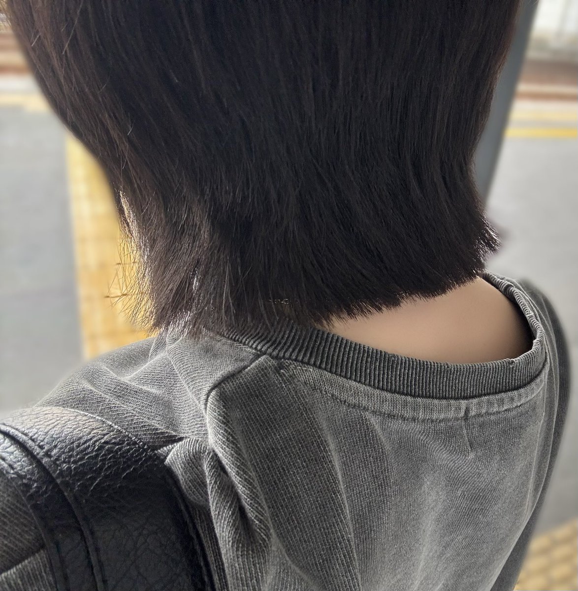 ←美容師に見せた写真
実際に切られた後→

これどう考えても大失敗すぎるでしょ、最後にこっちから言うまで鏡で後ろ姿見せてくれんかったし