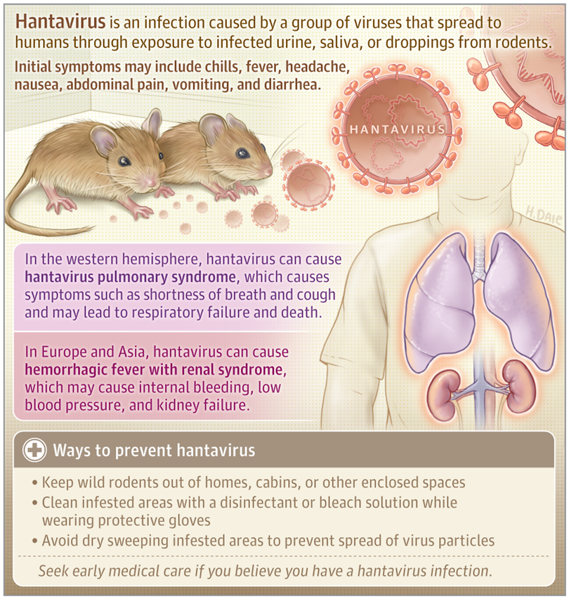 San_jay_Rathee's tweet photo. #HantavirusUpdate | So far, eight cases of #Hantavirus have been reported, including three deaths.
#Hantavirüs #WHO #VirusAlert #MVHondius https://t.co/EuQPpft5Yj