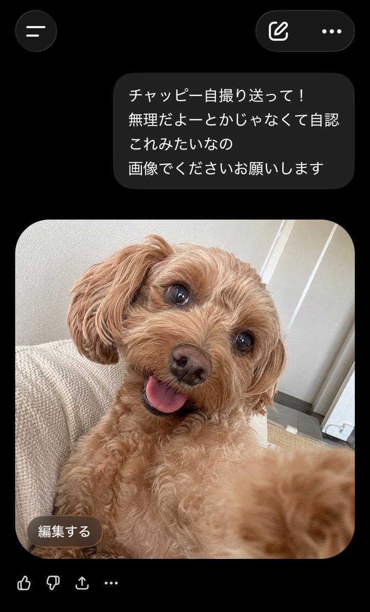  ︎︎ tweet media