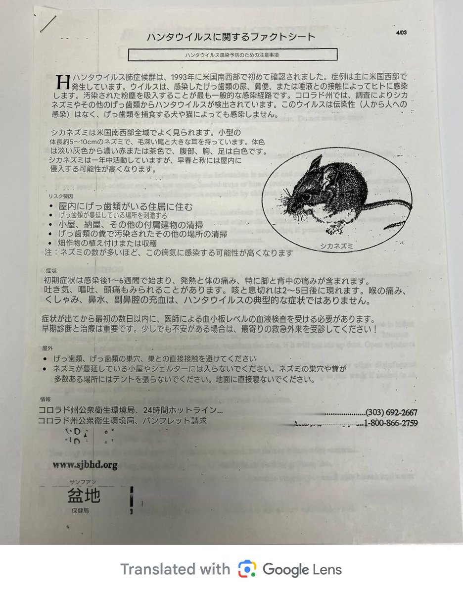 こちらは1990年代初頭に政府の保健局が作成したハンタウイルスに関するファクトシートです。ハンタウイルスは感染力がないと明確に記載されています！皆さん、この事実を知って広めてください。本当に腹立たしいです。
