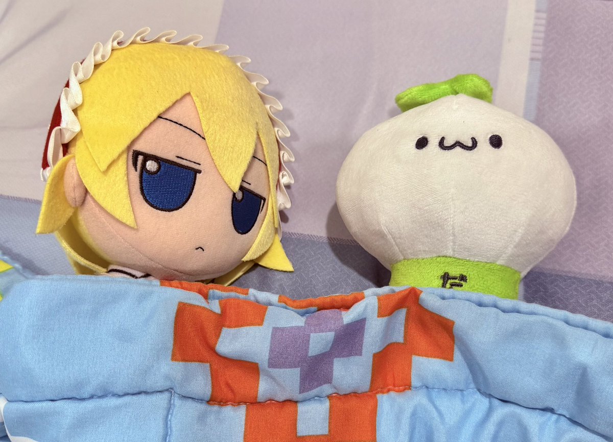 あきづき 🌙 tweet media