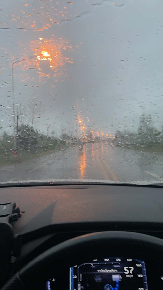 พะโล้ (ลุงว่าน) พี่ซันตั้งให้ 🐶🐰🌱 tweet media