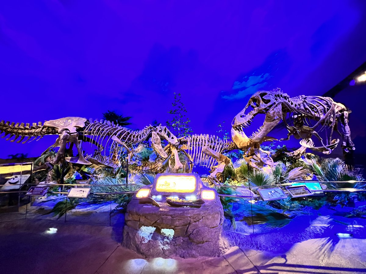 The Children's Museum tweet media