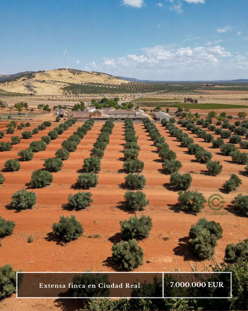Cocampo_com's tweet photo. 🌾 Finca en venta en Almagro, Ciudad Real
🌿 791 ha agrícolas, ganaderas y cinegéticas
💧 424 ha autorizadas para riego
🫒 Olivares, viñedos y cereales
🏡 Más de 10.000 m² construidos
🛏 Vivienda principal con 8 dormitorios
💶 7.000.000 €
https://t.co/3ScBb8XAJX
#fincaenventa https://t.co/rgUkJKR6EE