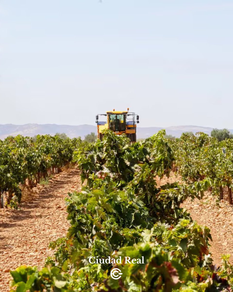 Cocampo_com's tweet photo. 🌾 Finca en venta en Almagro, Ciudad Real
🌿 791 ha agrícolas, ganaderas y cinegéticas
💧 424 ha autorizadas para riego
🫒 Olivares, viñedos y cereales
🏡 Más de 10.000 m² construidos
🛏 Vivienda principal con 8 dormitorios
💶 7.000.000 €
https://t.co/3ScBb8XAJX
#fincaenventa https://t.co/rgUkJKR6EE