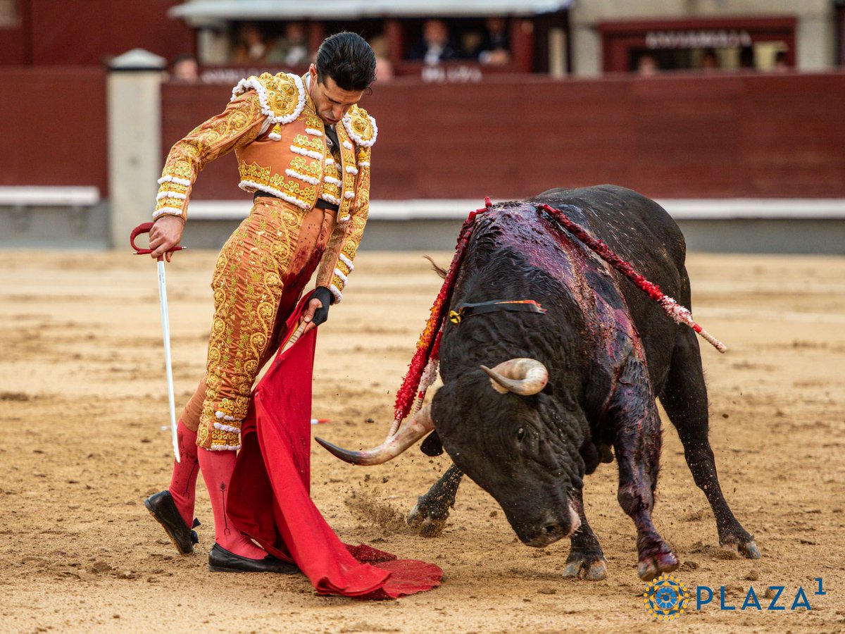 Toros de la Comunidad de Madrid tweet media