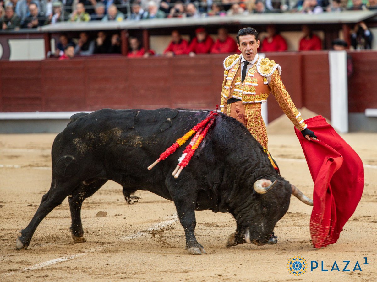 Toros de la Comunidad de Madrid tweet media
