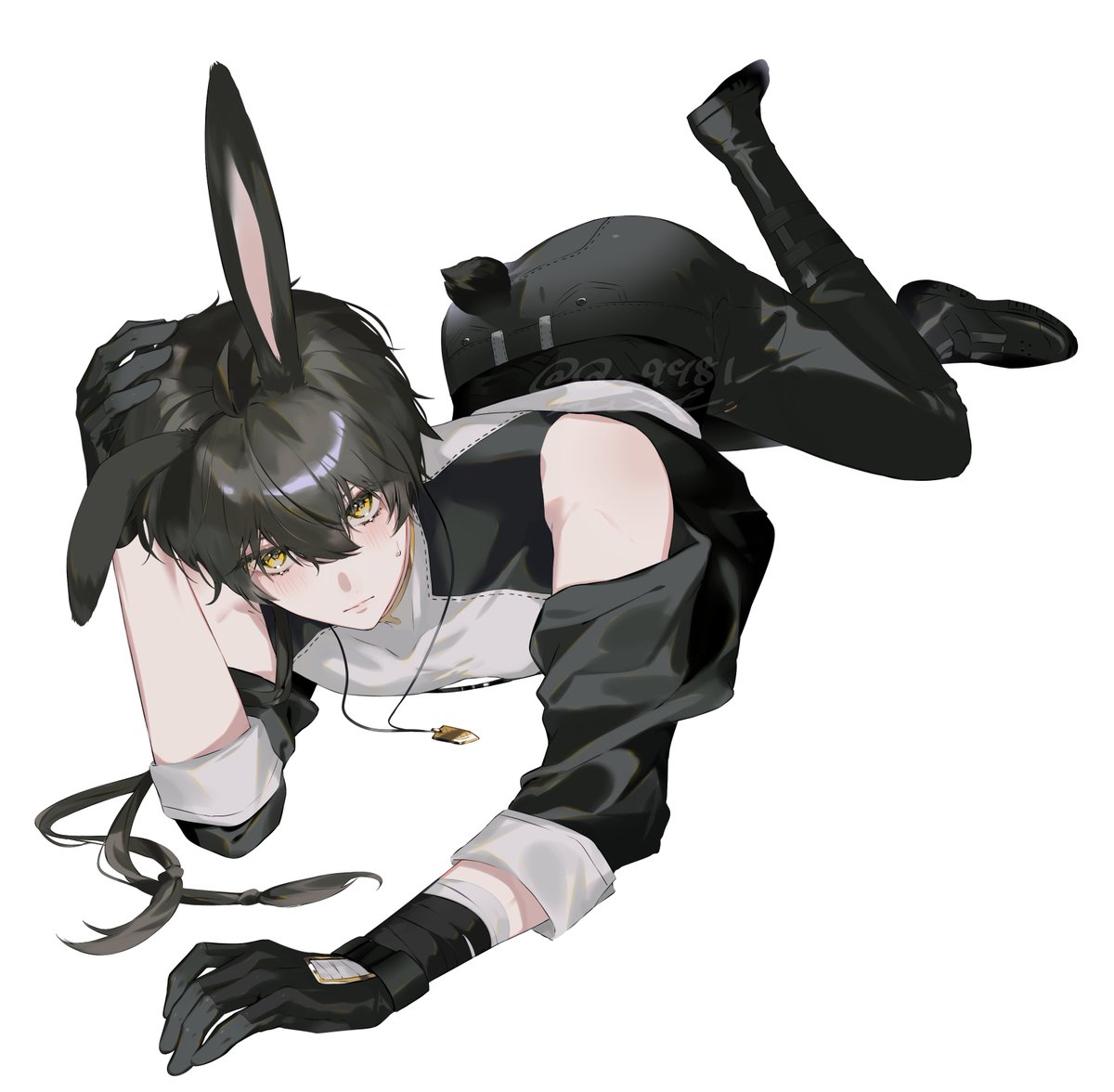 🐰🐈‍⬛