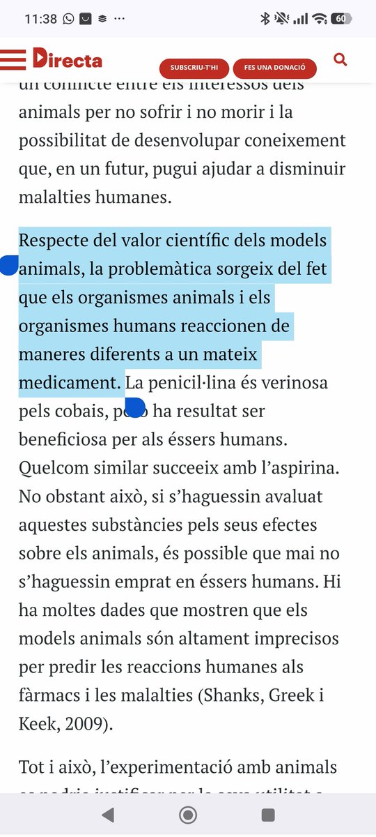 rata cellarda tweet media