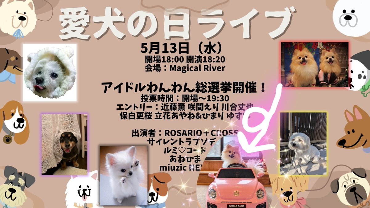 ひまり miuzic NEXT tweet media