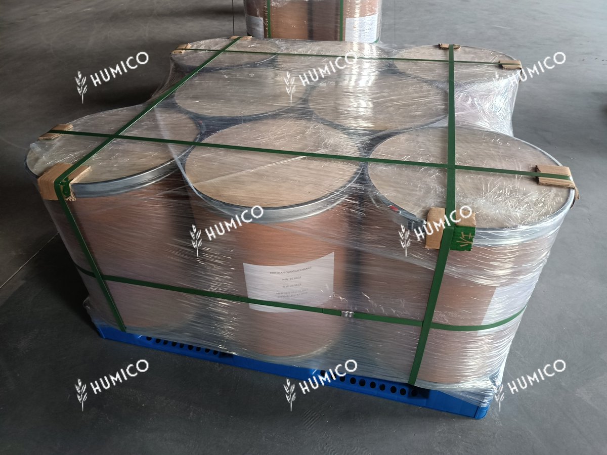 iHUMICO's tweet photo. #Humico #HumxChitosan (Chitosan Oligosaccharide Powder) Shipment Packaging

Chitosan Oligosaccharide: 1000-3000 Da
Food Grade: 85%, 90%, 95%
Industrial Grade: 80%, 85%, 90%
Agricultural Grade: 80%, 85%, 90%
Water Soluble Chitosan: 90%, 95%
https://t.co/mHrZkDROdw

#Agriculture https://t.co/L97VhK2wax