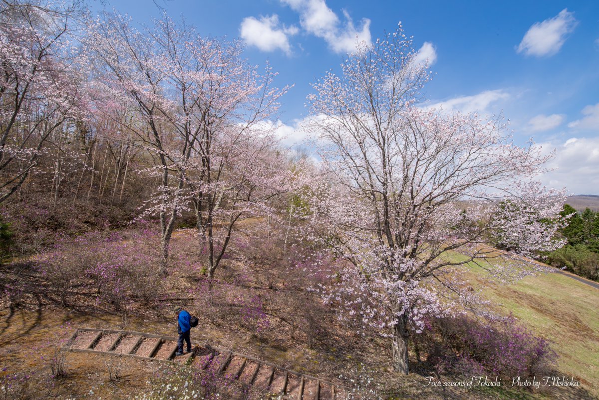 nishi@北海道十勝の風景写真 tweet media