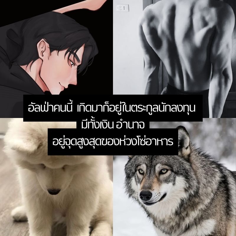 mindteay's tweet photo. pls re
📌นิยายวายอัปเดต
ตัวอย่างเนื้อหา 
“หายงอนหรือยังครับ ?”
“อื้อ”
“แค่แตะแบบนี้ มันจะไปพออะไร...”
“อ๊ะ... อื้อ”
https://t.co/YDrytfTB4A
#นิยายวายแนะนำ #ผมได้สามีอัลฟ่ามาฟรี https://t.co/LqIJEiFFbh