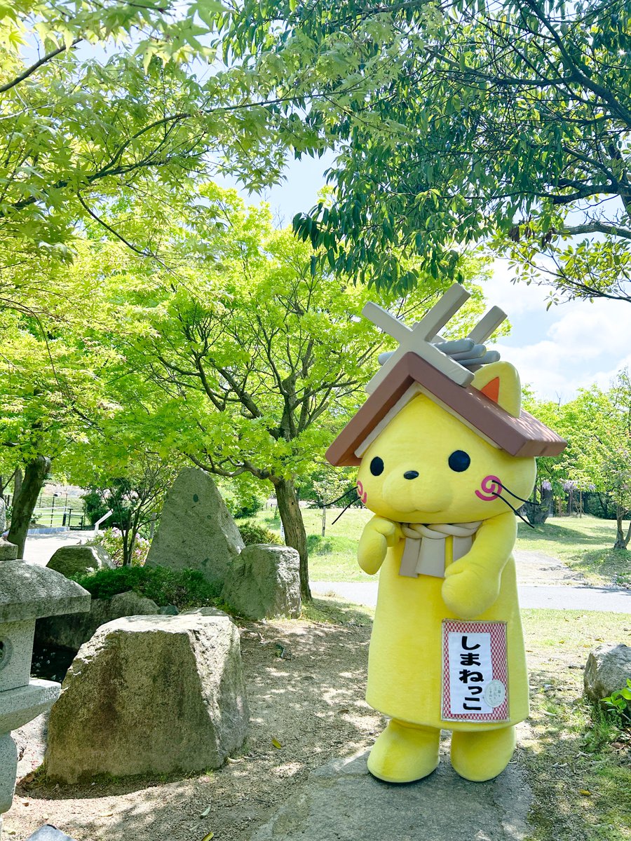 緑がきれいにゃ✨🍃新緑の季節にゃ！
みてるとにゃごむにゃ(꒪ˊ꒳ˋ꒪)
#新緑 #出雲市