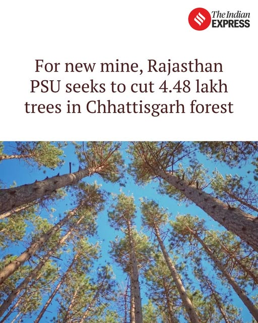 Sanghamitra tweet media