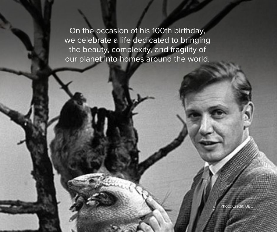 lynxnaturebooks's tweet photo. Today, we celebrate not just an extraordinary career, but a legacy that continues to inspire curiosity, respect, and action, values we at Lynx Nature Books deeply believe in 🐾

#DavidAttenborough #Attenborough100 #PlanetEarth #NatureDocumentary  #ClimateAction #Wildlife https://t.co/u74QhAkIOP