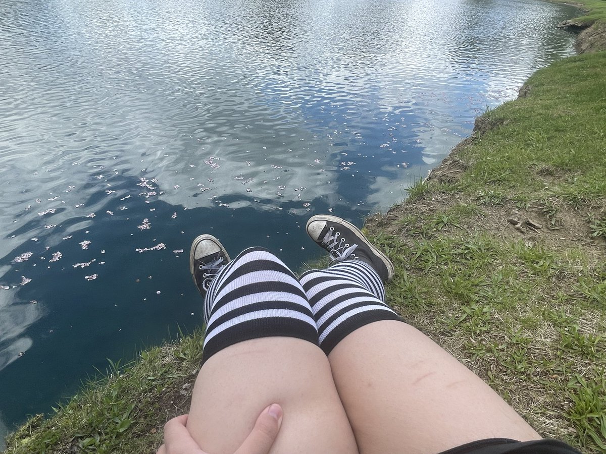 t0astv's tweet photo. Someone come sit with me https://t.co/Gx1TlOQTfn