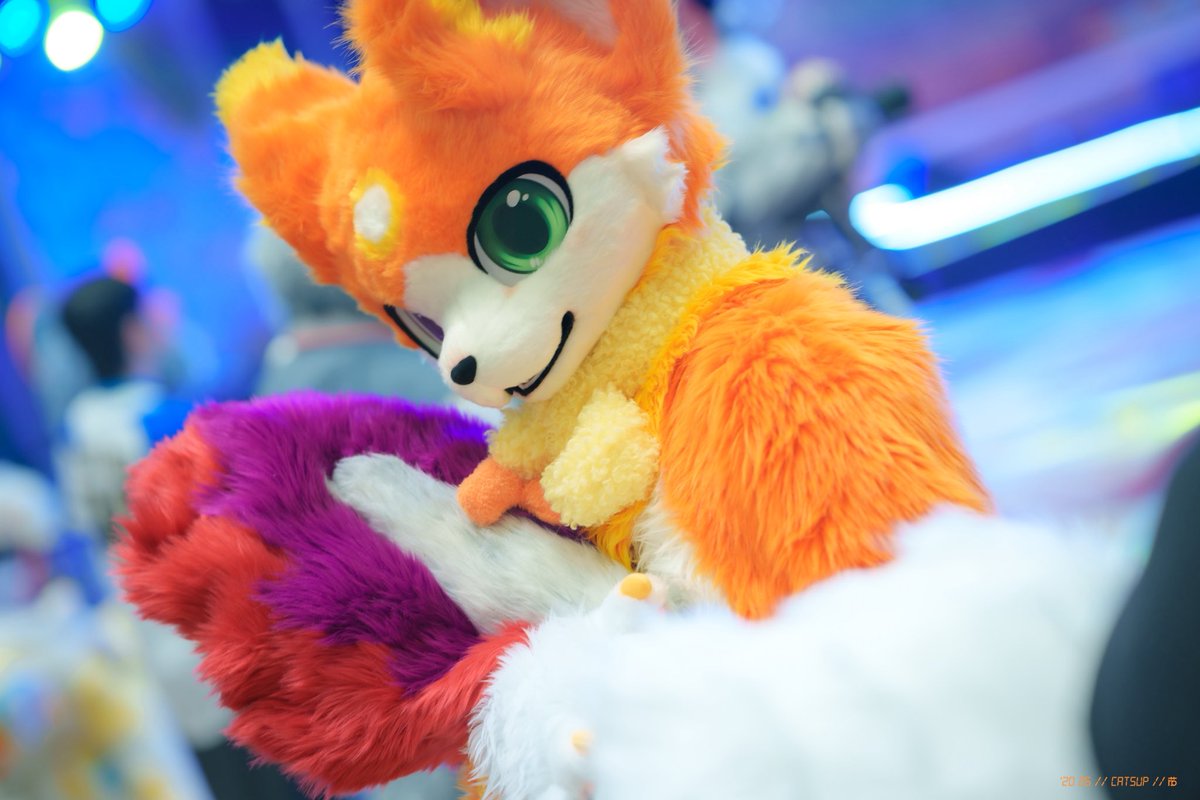 Gomeow·金桔·柠檬茶 tweet media