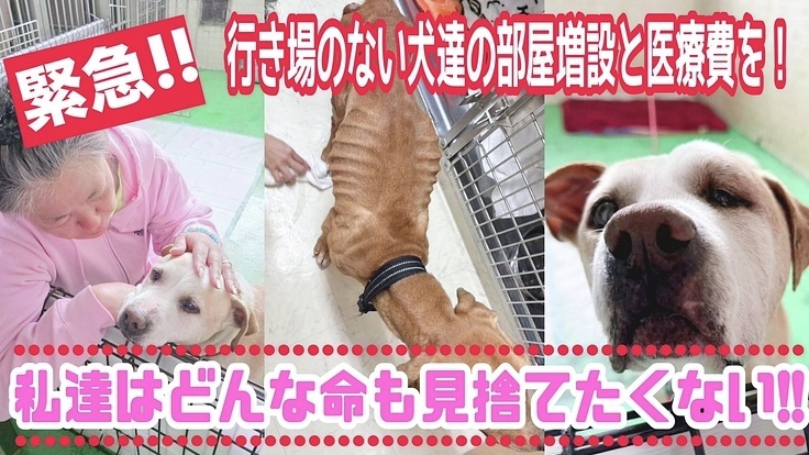 READYFOR（レディーフォー） tweet media