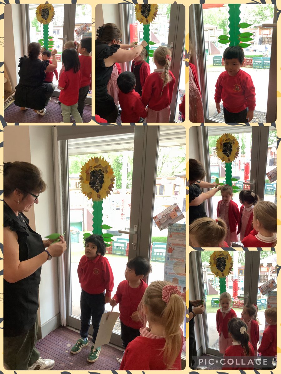 It’s all about ‘sunflowers’ in nursery this week. 🌻