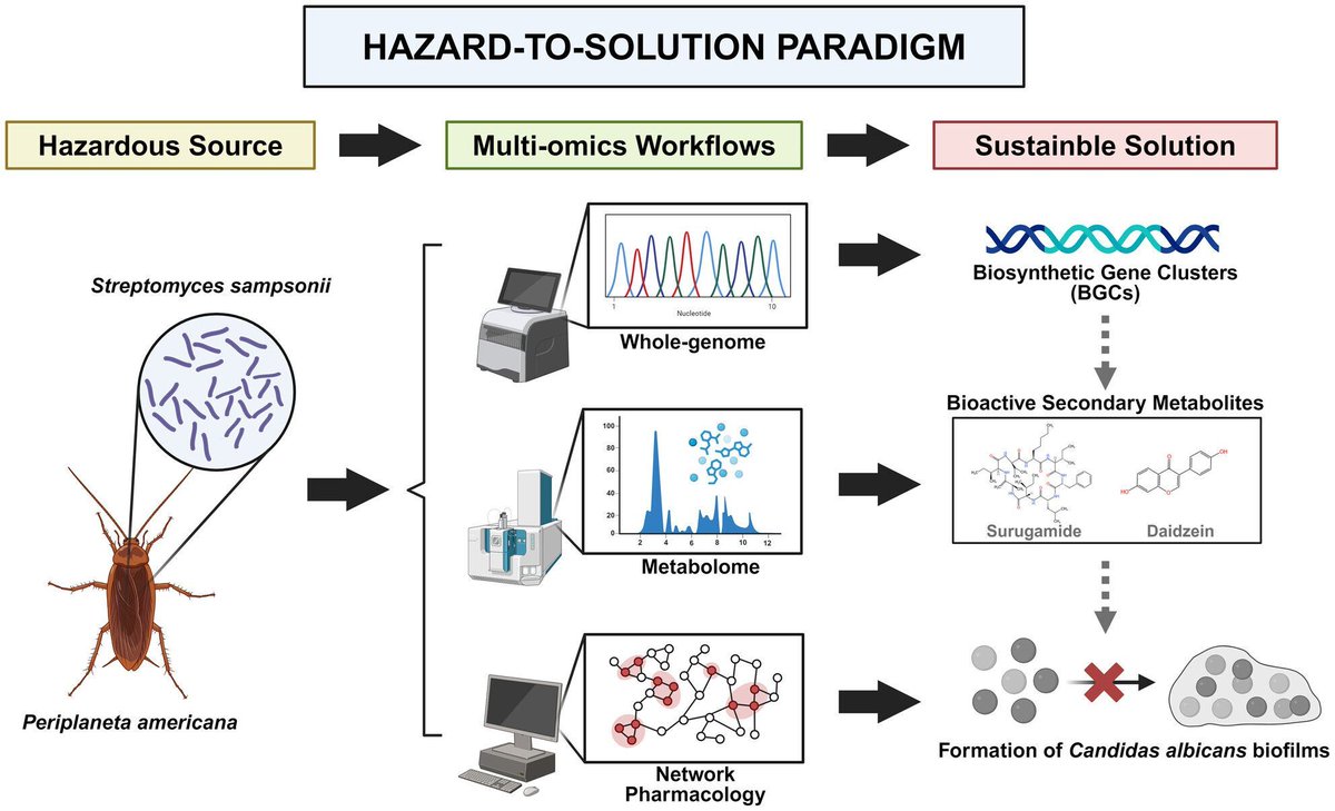 Microbial Biotechnology (MBT) tweet media