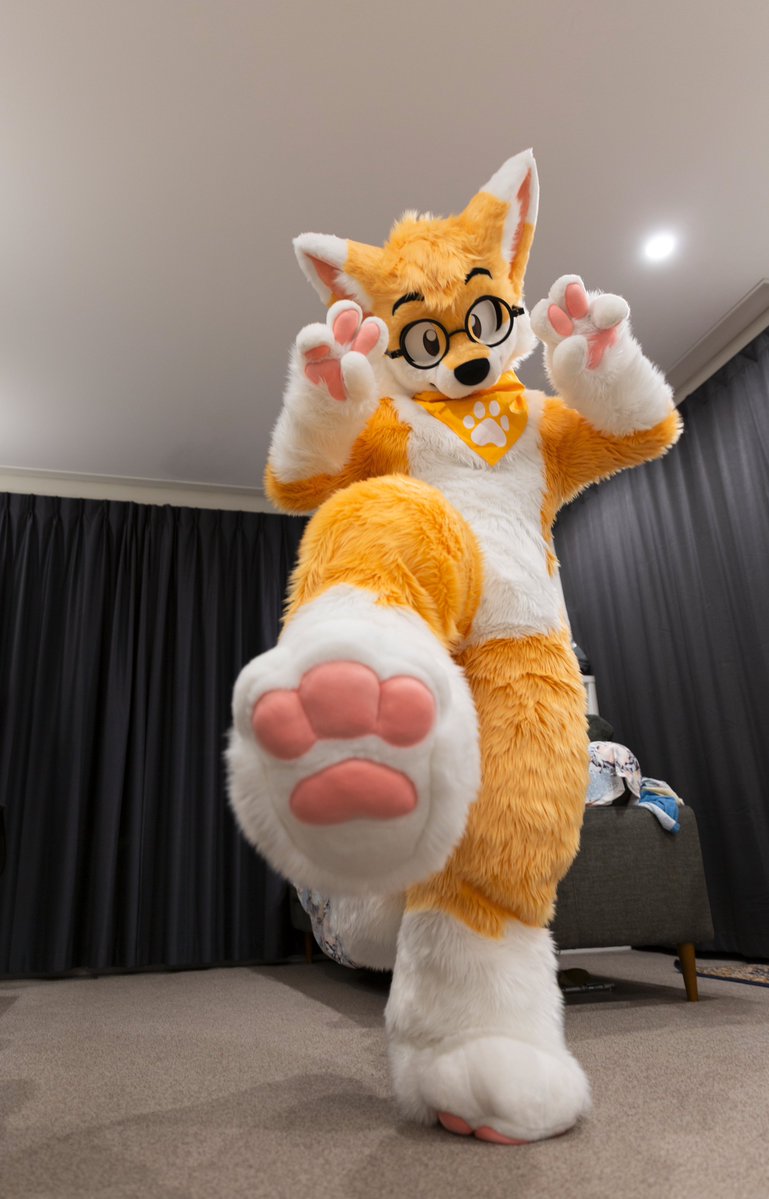 ˗ˏˋ PawFessor Yapsᶠᵒˣ ˊˎ˗ ➡️ BlueSky tweet media