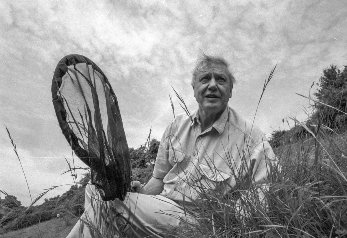 Snapperlen's tweet photo. Happy Birthday to the living legend that is Sir David Attenborough. This was taken the first time I photographed him around 2009 when he introduced the large blue onto a Somerset hillside.
#attenborough #birthdayboy https://t.co/jGtokpZsd9