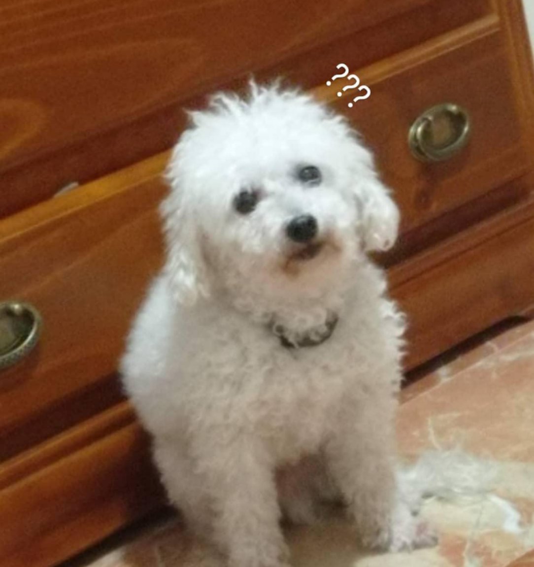 Naat695's tweet photo. te querré toda mi vida <3 https://t.co/uFVMRjUr00
