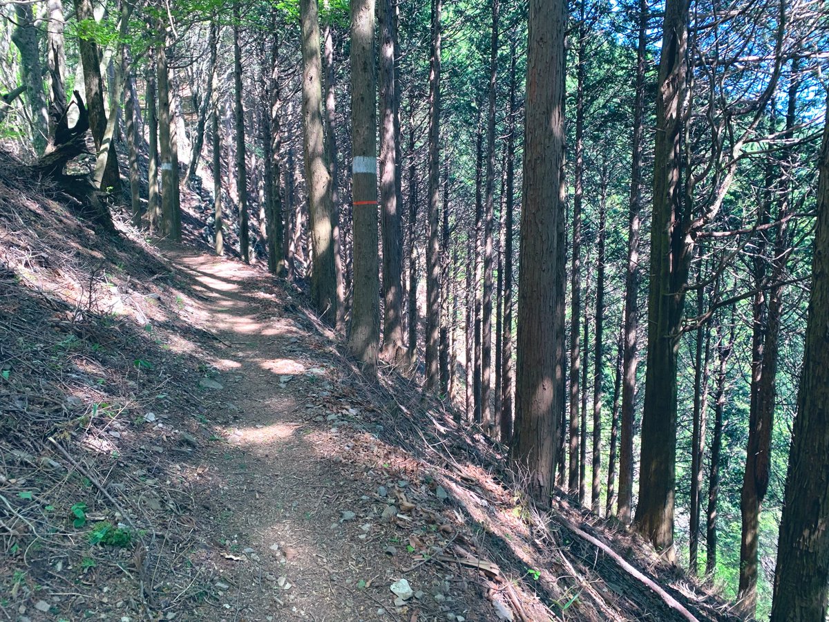 16th_moon_'s tweet photo. GW御前山から大岳山へ
大岳山あんなに岩岩だっけ？
すっかり忘れてた
奥多摩駅からのバスは満員だったのだけど奥多摩湖で降りた方はほんの数人
みんなどこに行ったの？笑

御前山の富士山綺麗だった
そして久しぶりの筋肉痛
ほんとすぐに鈍るね

来年はカタクリ見にいこう

#御前山　#大岳山　#御岳山 https://t.co/KWjO3pI4sE