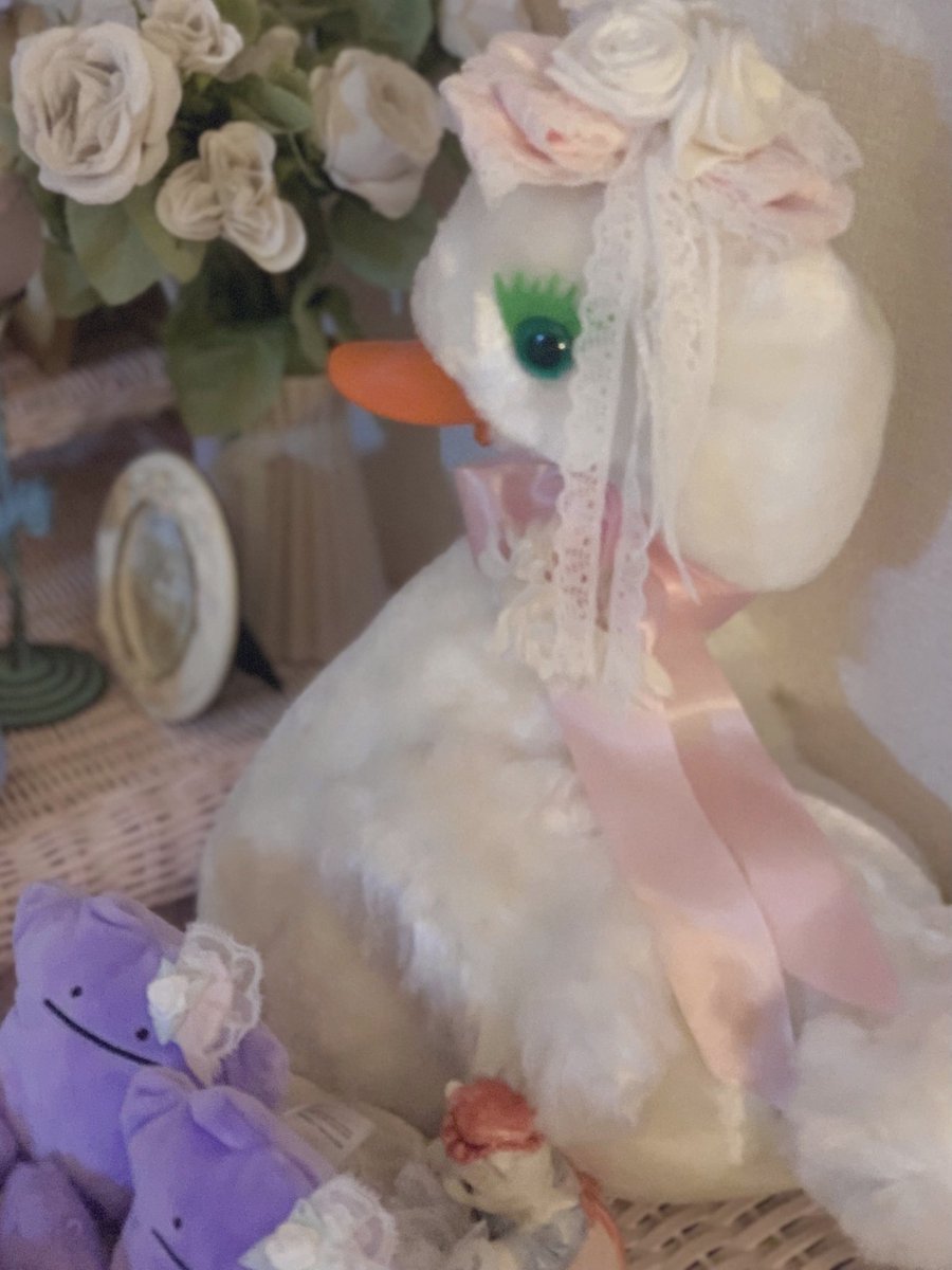mtmnuprp's tweet photo. モモコハウスのリボンが似合う 🦢 https://t.co/qXIfyETDfo