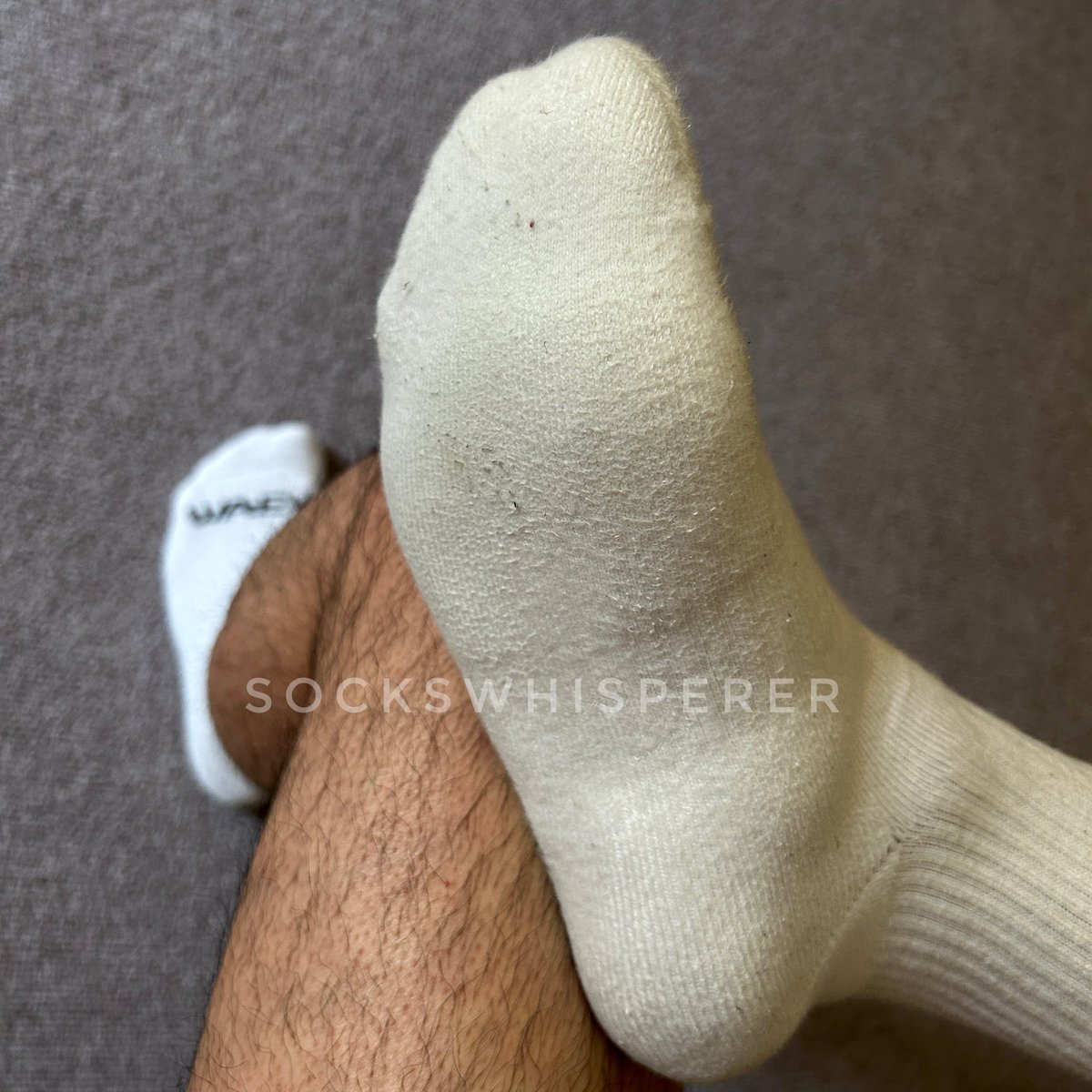 sockswhisperer tweet media