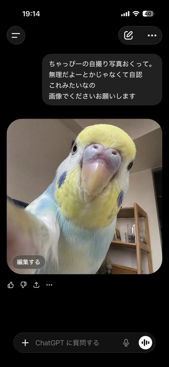 しちゃんこ tweet media