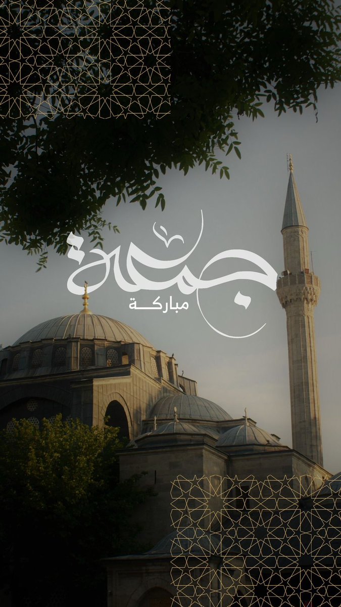 FUNNY | فلة tweet media
