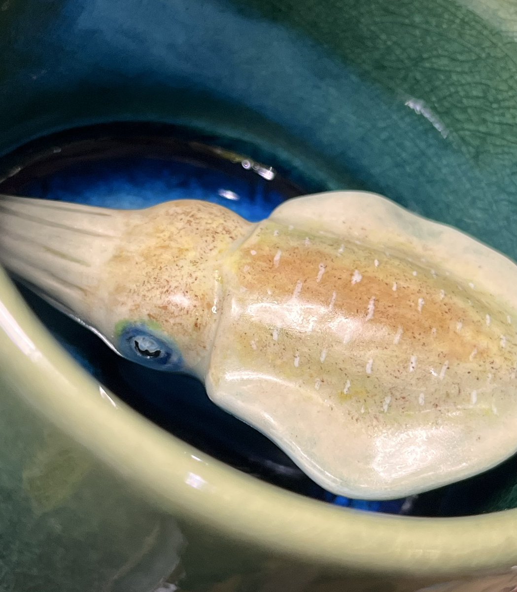 Usaginorara1's tweet photo. アオリイカのぐい呑みを作りました🍶🦑 https://t.co/awxRYuVBDf
