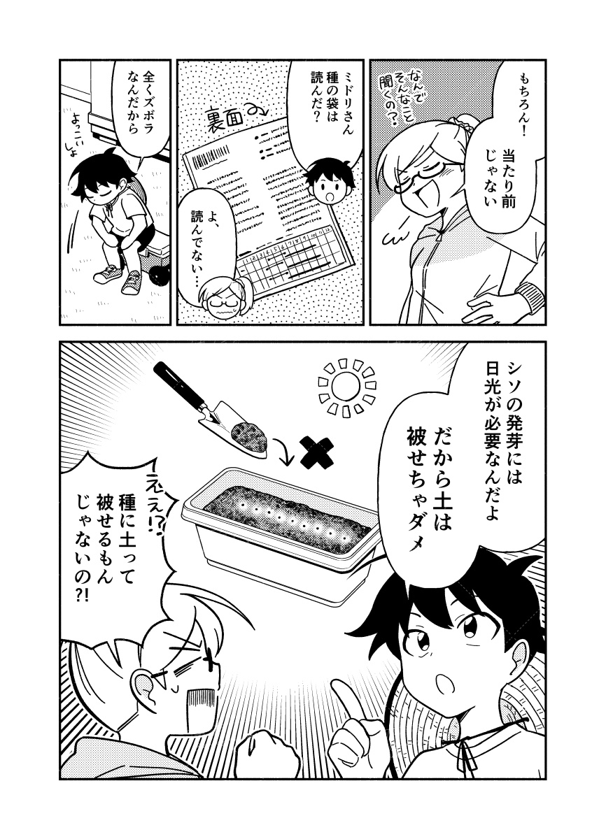 ズボラな初心者でもできるシソ栽培🪴
(1/4) 