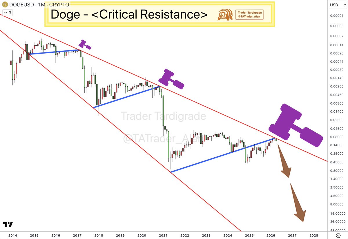 Trader Tardigrade 🧬 tweet media