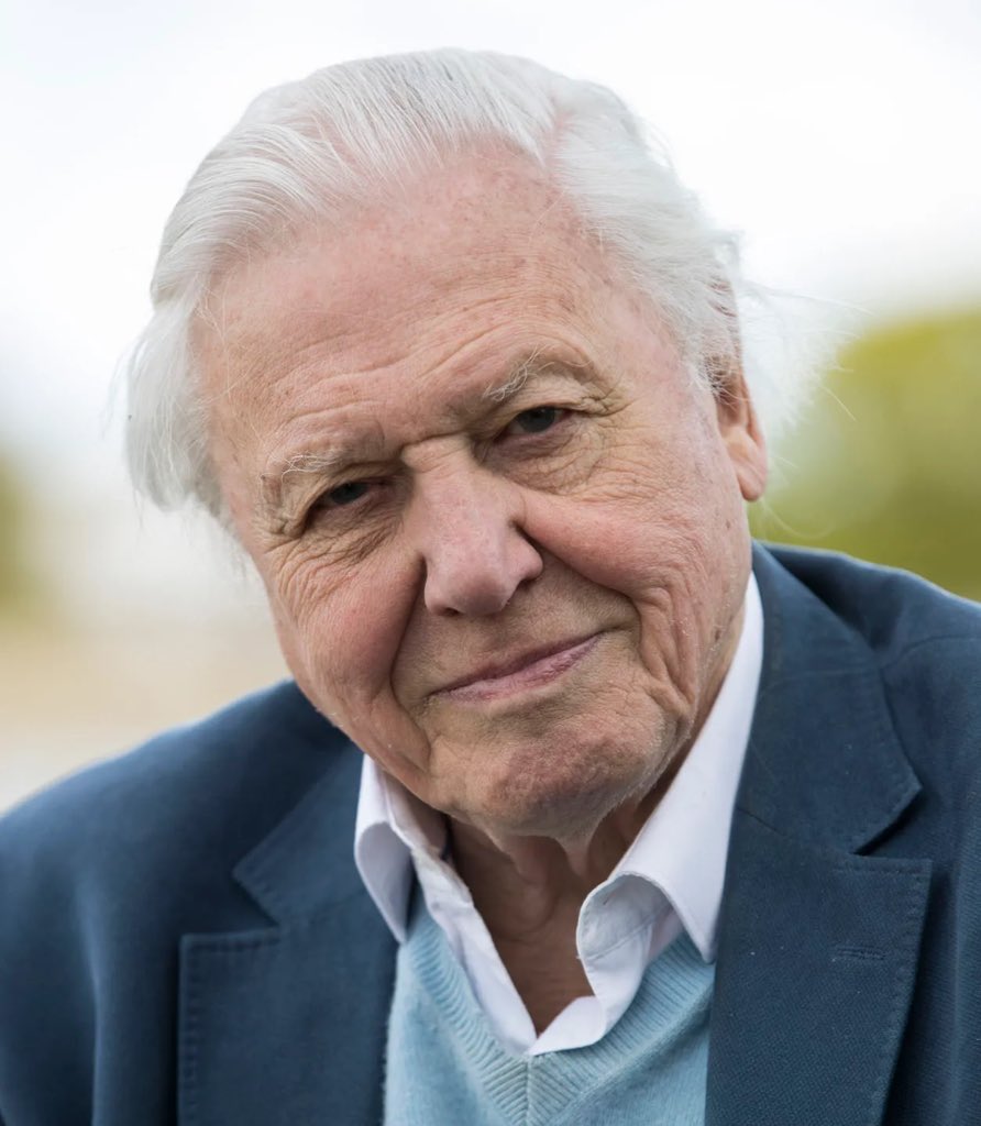 Lego have changed the age limit for their toys up from '4-99' in a 100th birthday post to Sir David Attenborough 

“Updated for you, Sir David”