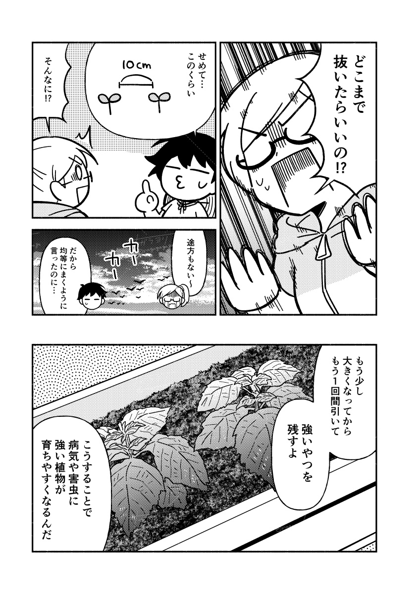 (3/4) 