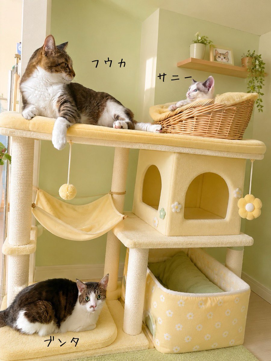 フウカ (@OZ6EpYQlciPRCpO) / Posts / X