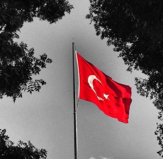 Kemalizm tweet media