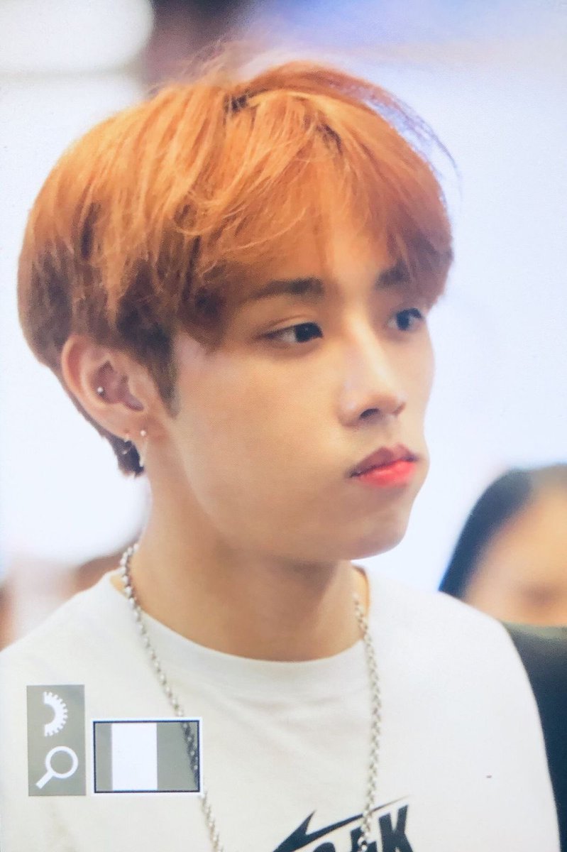 𑣲⋆ julibug 𓍢🍊͙֒ tweet media