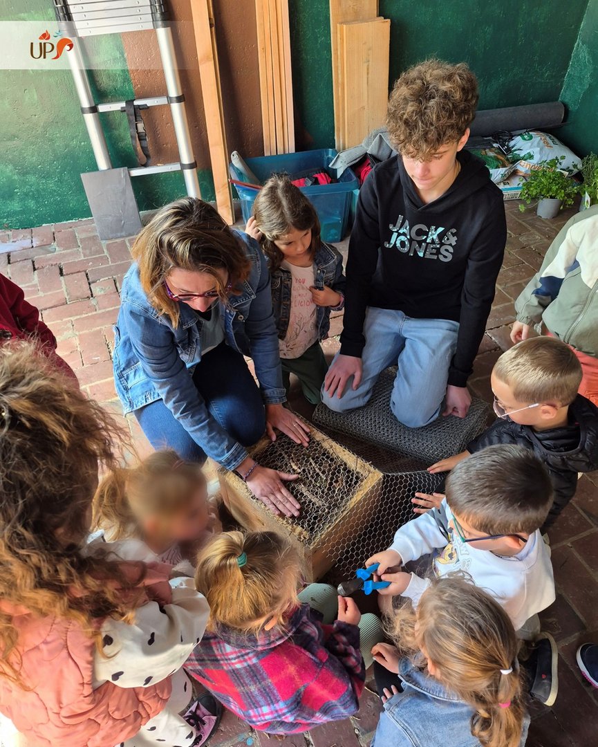 Biodiversitup's tweet photo. Un treillis biodiversité 🏡 Après l’école d’Harcourt, nous voici dans un magnifique village du @EureenNormandie avec la Mjc de Bernay pour continuer sur cette nouvelle lancée : la construction et l’installation d’un « treillis à biodiversité » dans les cours d’école. https://t.co/DRZNjLGX6G
