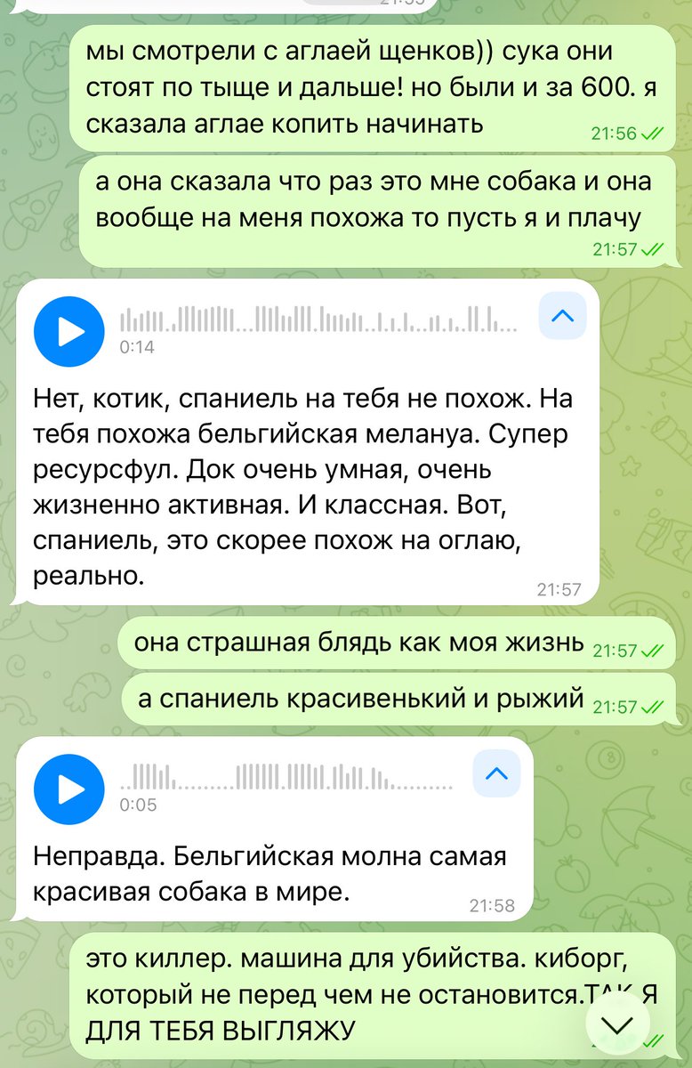 герасименко tweet media